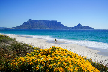 Fototapeta premium View of Table Mountain from Bloubergstrand, Cape Town