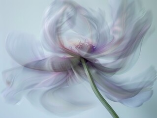 Abstract still life, a flower in movement