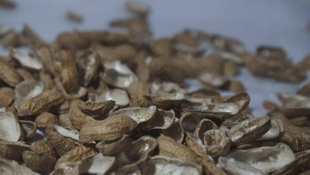 4K video footage. Gently falling peanut shells, minimalist and evocative, against a white backdrop with a subtle blur. Ideal for creative projects and conceptual visuals.