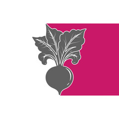 Silhouette of beet vegetable on a white background with a colored element. Healthy food design. Vector illustration