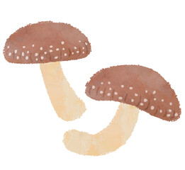 しいたけ　野菜　シイタケ　イラスト