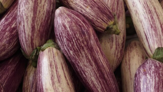 Eggplant Elegance - Italian Market's Purple Pride