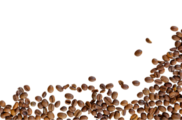 coffee beans background isolated