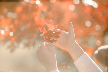 child with autumn leaves. Love autumn. Selective focus.