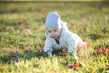 Adorable baby crawling in fallen leaves in morning sunlight.