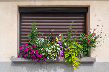 Detail of the exterior of a modern house with a closed window decorated with flowering potted plants in summer, France