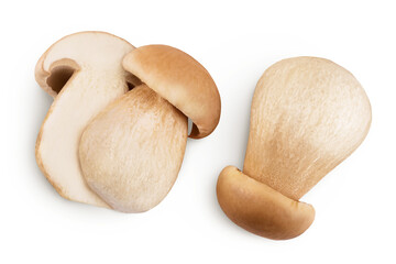 Fresh porcini cep mushroom isolated on white background. Top view. Flat lay