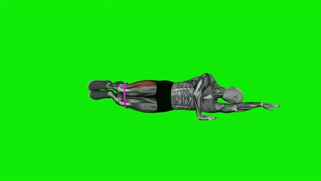 3D illustration animation of a male doing the Resistance Band Clam Fitness Exercise