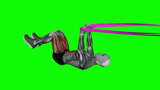 3D illustration animation of a male doing the Resistance Band Upper Body Dead Bug Exercise