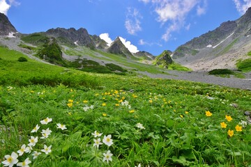 北アルプス 涸沢カール　夏景色