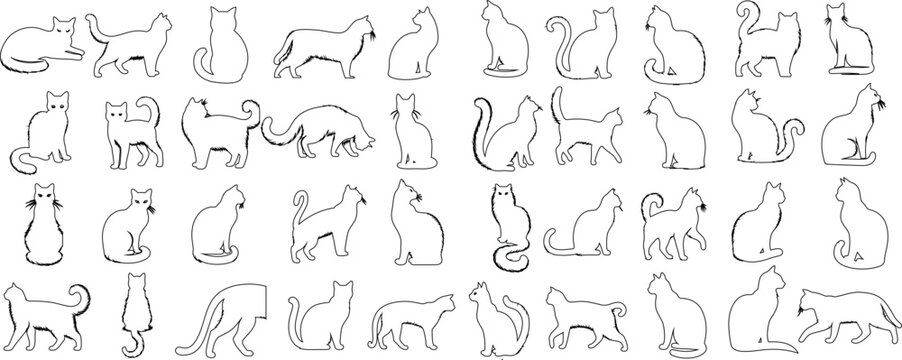 Vector illustrations of elegant cat outline in diverse poses, perfect for pet themed designs, capturing the grace and movement of felines