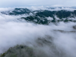 High-angle landscape in the sea of ​​mist exploring many forest areas the legend of the forest sky at the center of perfection. And the views here are the breathtaking pinnacle of winter in Thailand.