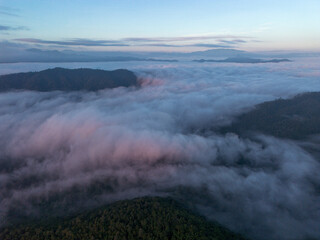 High-angle landscape in the sea of ​​mist exploring many forest areas the legend of the forest sky at the center of perfection. And the views here are the breathtaking pinnacle of winter in Thailand.
