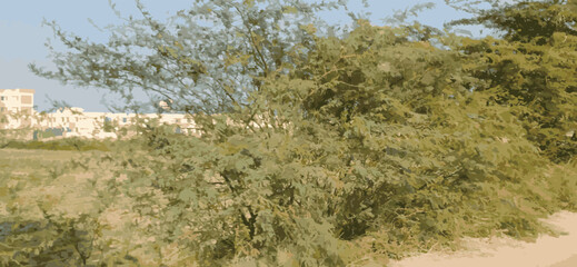 Road, clound and sky at moutain background | Plant park spring nature beautiful | Highway Road Side New Background | Tree Lined Road Pictures Photo | Tree Lined Road Pictures Photo Wide Green Grass 