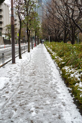 2月に雪が積もった東京ミッドタウン周辺