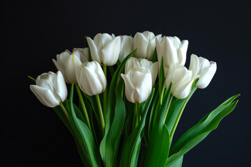 Elegant White Tulips in Dramatic Lighting