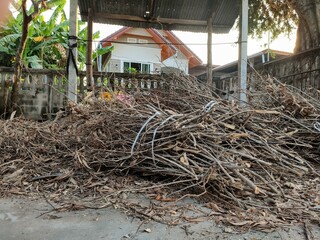 A pile of firewood lying on the floor.