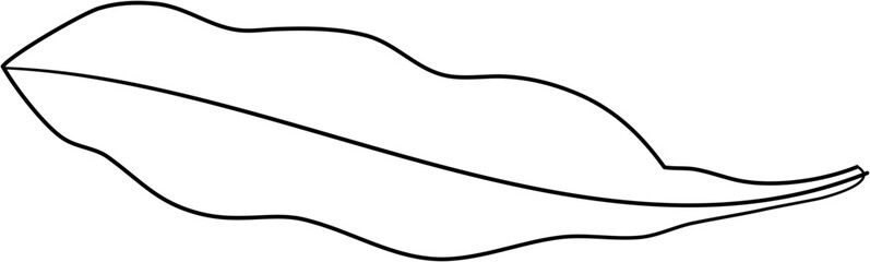 Fototapeta premium leaf lineart