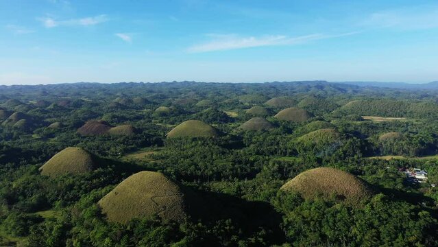 The Chocolates Hills amidst green jungle and rice paddies , Asia, Philippines, Bohol Island, near Panglao, in summer on a sunny day.