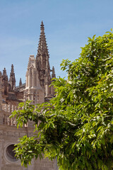 exterior architecture of Cathedral church in Seville, Spain - 744583593