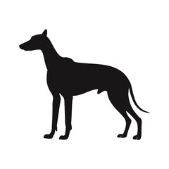 Obraz premium Dog Silhouette