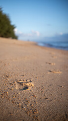 footprints on the beach
