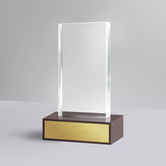 Corporate Crystal Glass Award, Acrylic Trophy, Beautiful Sports Trophy.