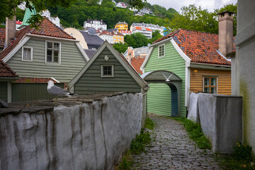Urban scene at Bergen Norway during an overcast day featuring a bird resting on a ledge