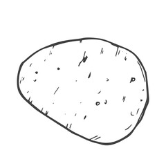 Doodle potato icon in vector. Line potato sketch icon