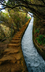 Narrow trail along levada do Alecrim (irrigation canal) in the island of Madeira, Portugal