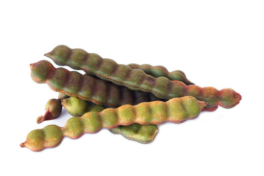 Acacia concinna pods or Soap Bobs fruits on white background. Concept, Fruit of herbal plant in Thailand, useful and benifit for health. Wild botanical plant.     