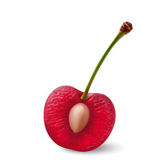 A single red cherry on its stem, cut in half with the pit exposed, illustration on a white background - 744595987