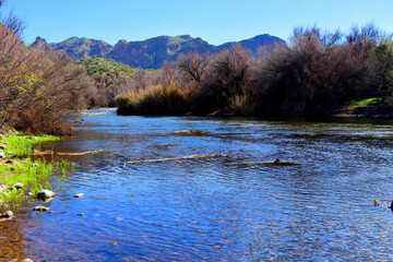 Fototapeta premium Salt River Recreation Area Arizona