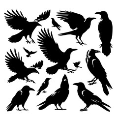 set of crow