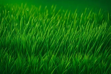 Crédence de cuisine en verre imprimé Vert green grass background