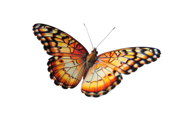 Fototapeta premium Butterfly transparent background, PNG, Flying butterfly