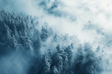 Aerial view of winter landscape atop alpine forest mountain top - obrazy, fototapety, plakaty