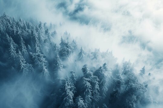 Fototapeta Aerial view of winter landscape atop alpine forest mountain top