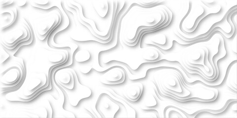 3d render, abstract white paper background. Paper cut vector art background banner texture. multi layer cutout geometric pattern on vector, Abstract soft white background with waves.	