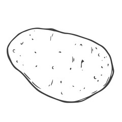 Doodle potato icon in vector. Line potato sketch icon