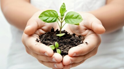 A pair of hands holds some soil with a small sprout. Isolated background