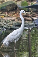 Port Douglas, Queensland, Australia