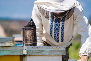 Beekeeper is working with bees and beehives on the apiary.