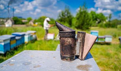 Beekeeper is working with bees and beehives on the apiary. Bees on honeycombs.