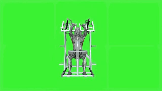 3D illustration of male doing the Hammer Strength Plate Loaded High Row Single Arm Fitness Exercise