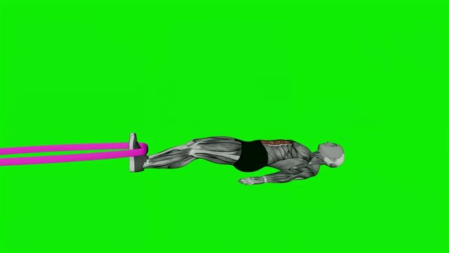3D illustration animation of a male doing the Resistance Band Lying Bent Knee Raise Fitness Exercise