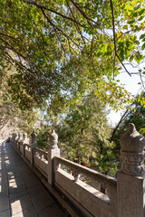 Songyang Academy in Dengfeng, Henan Province during the Spring Festival of the the Year of the Loong