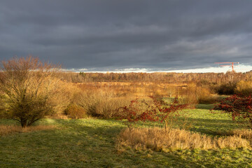 Obraz premium Beautiful arial view of the autumn landscape with a dramatic rain cloud and yellow trees