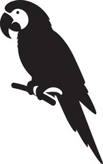 Parrot Vector design, silhouetee