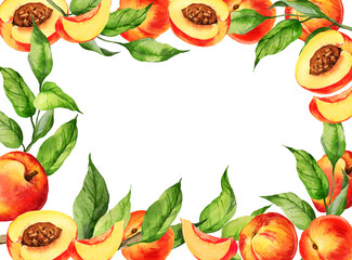 watercolor frame with illustration of summer fruit, peach or apricot, nectarine on a branches with green leaves, sketch of sweet food with slices of fruits, isolated on white background